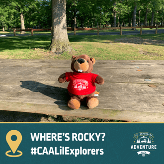 Photo 1: Rocky the Beaver sitting on a picnic table in a park