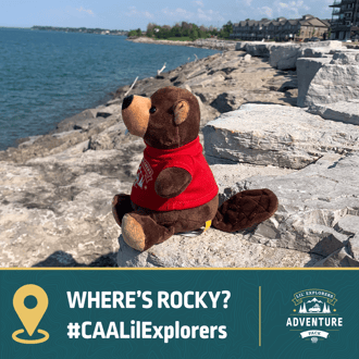 Photo 2: Rocky the Beaver sitting on some rocks while gazing out at a lake