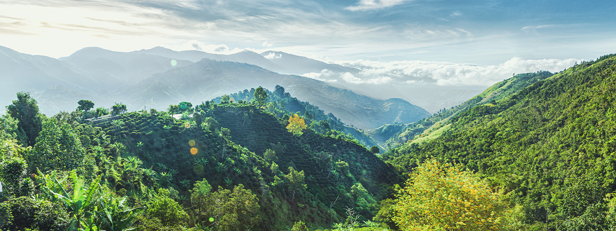 Blue Mountains, Jamaica