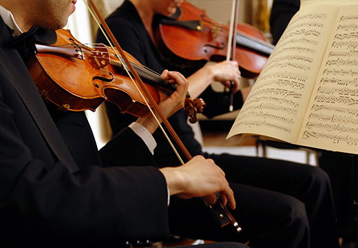 Violinists reading sheet music. 