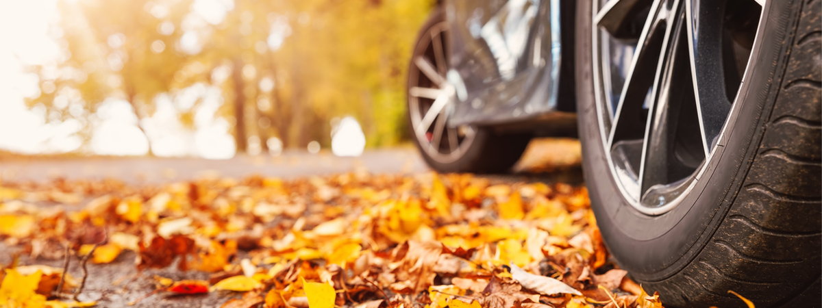 Car on asphalt road on autumn day at park. Colored leaves lying under the wheels of the vehicle.