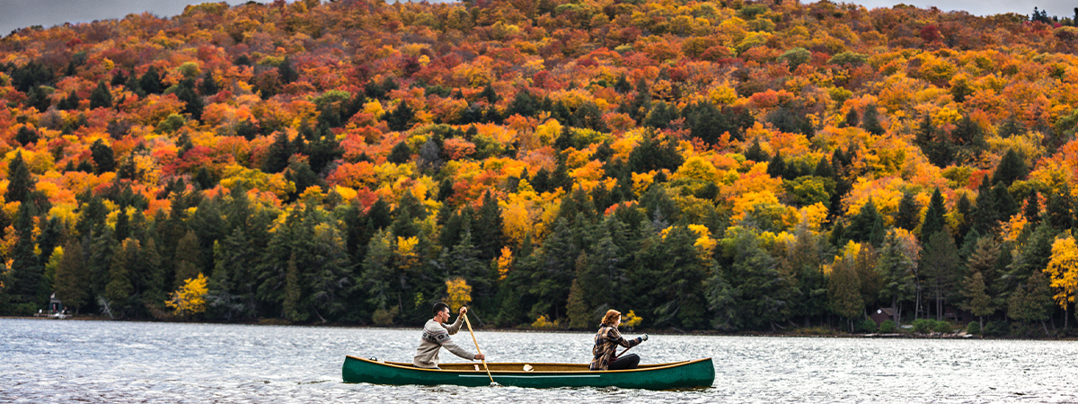 Man and woman canoeing on a lake in Algonquin Park during fall