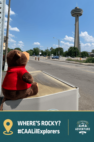 Photo 4: Rocky the Beaver gazing up at a tall building