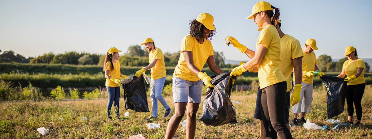 Volunteers Picking Up Litter