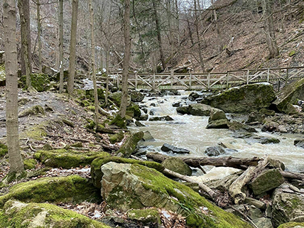 Walking bridge over a stream at Rockway Falls. Photo credit: Broderick Edwards, 2021, AllTrails.com