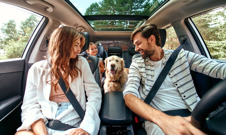 Family Road Trip with a dog
