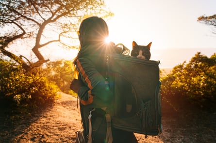 Woman hiking with cat