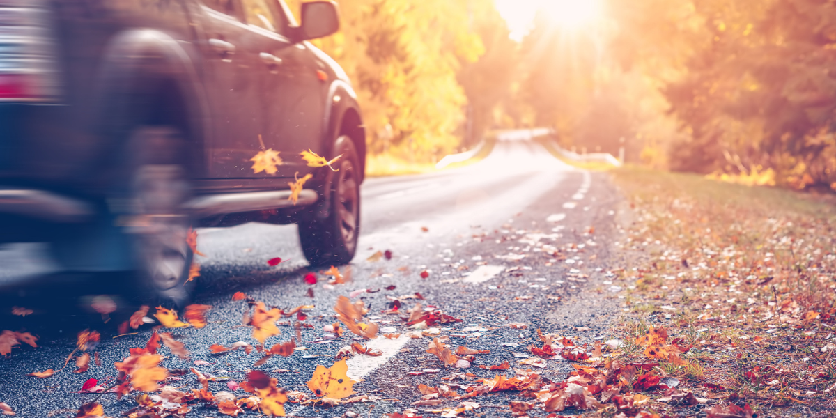 Car driving through fallen autumn leaves at sunset.