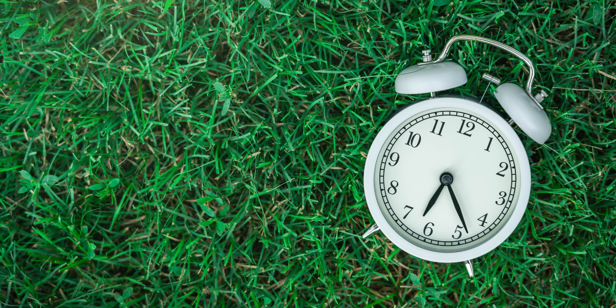 Alarm Clock lying face up on grass.