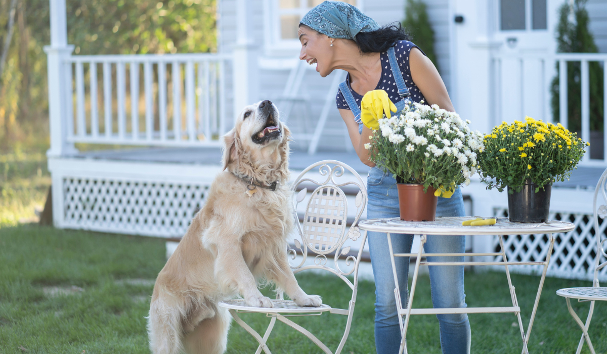 Woman gardening in back yard, having fun with retriever