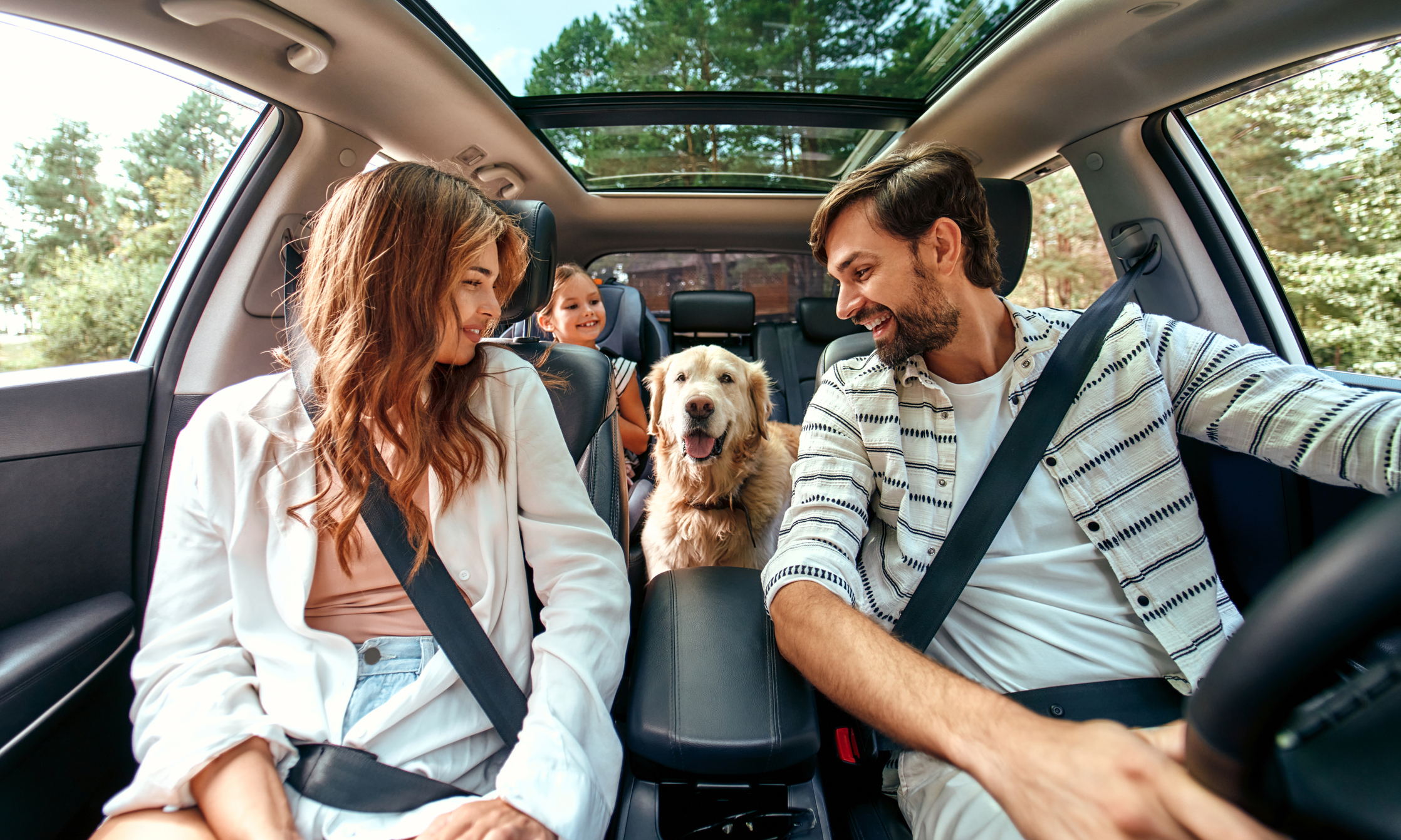 Family Road Trip with a Dog