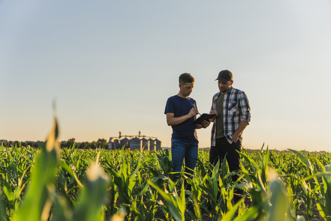 Two farmers working in their field